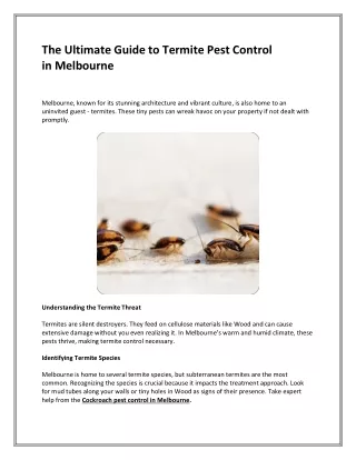 The Ultimate Guide to Termite Pest Control in Melbourne