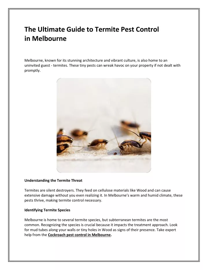 the ultimate guide to termite pest control