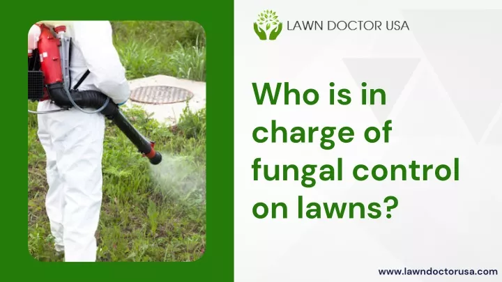 who is in charge of fungal control on lawns