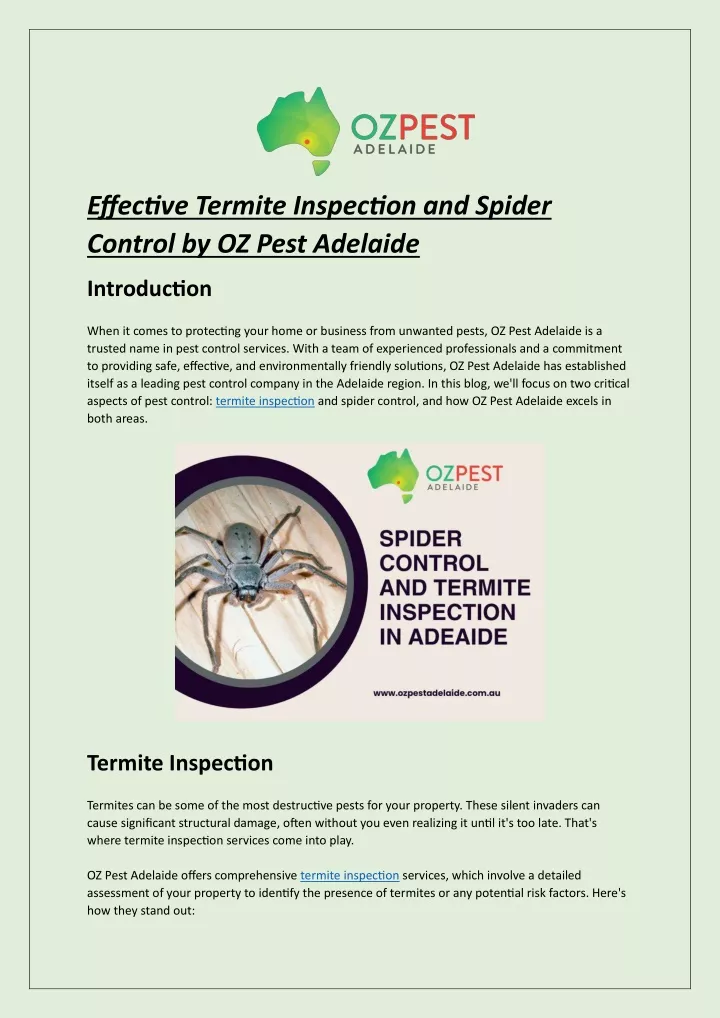 effective termite inspection and spider control