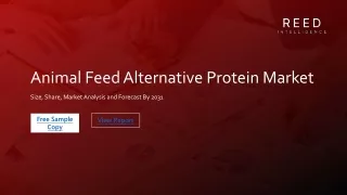Animal Feed Alternative Protein Market Research Study: Examining Market Dynamics