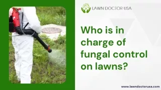 Who is in charge of fungal control on lawns