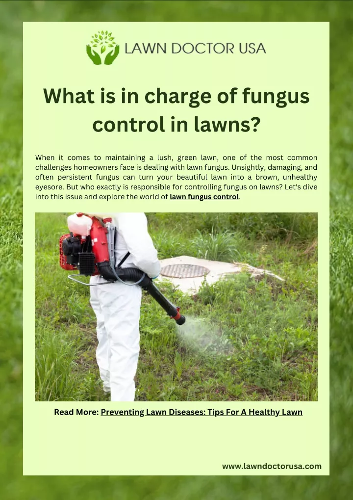 what is in charge of fungus control in lawns