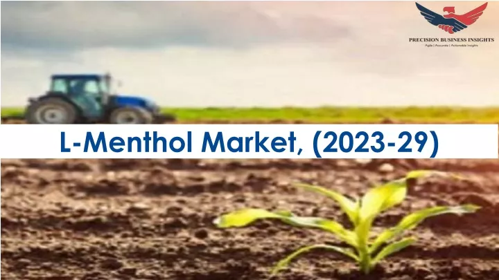 l menthol market 2023 29