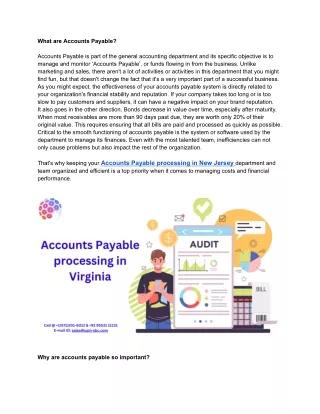 what are accounts payable