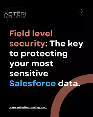 field level security the key to protecting your