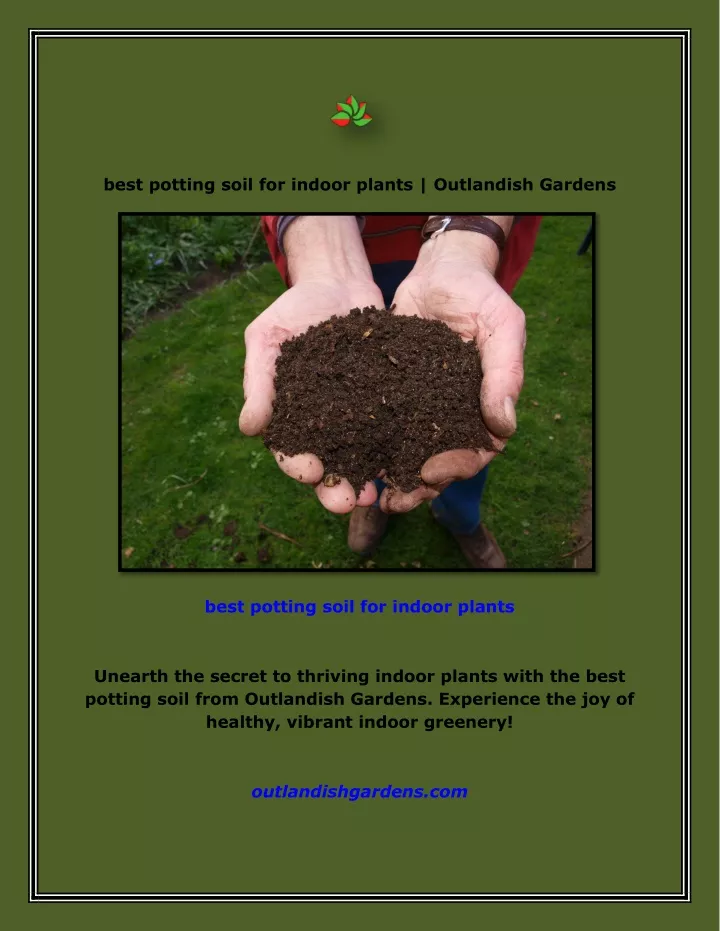 best potting soil for indoor plants outlandish