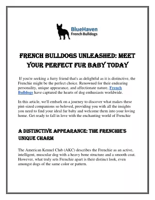 French Bulldogs Unleashed Meet Your Perfect Fur Baby Today