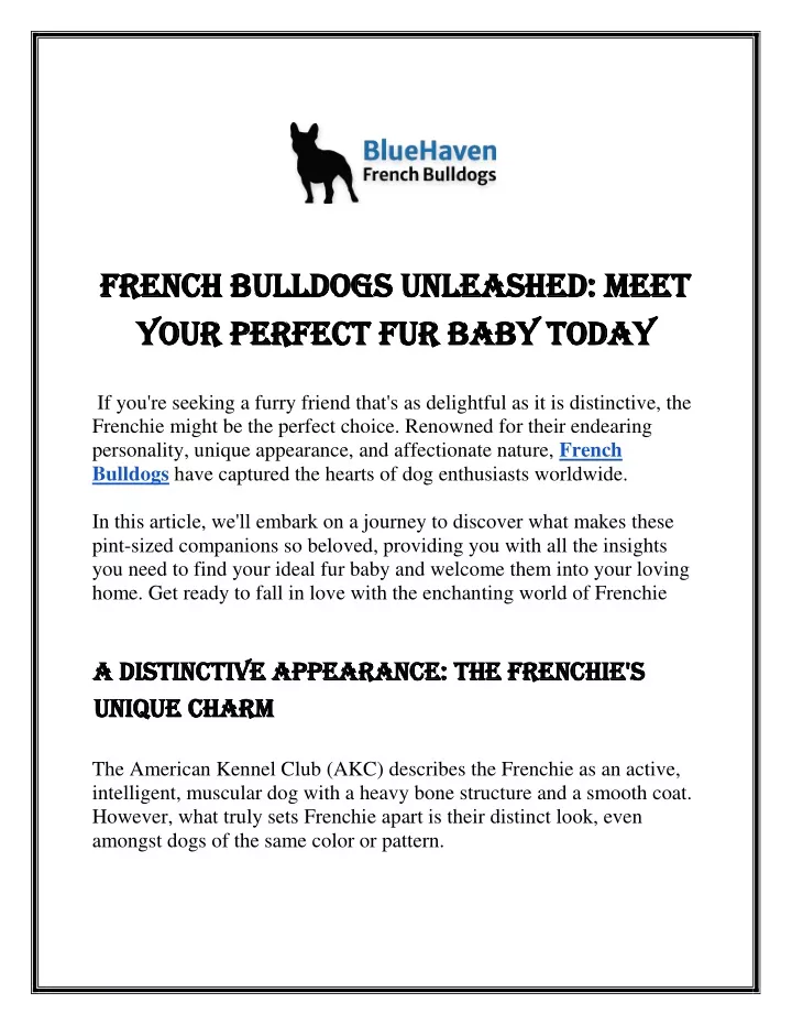 french bulldogs unleashed meet french bulldogs