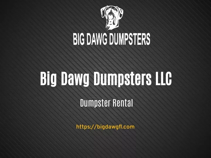 big dawg dumpsters llc
