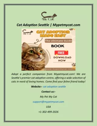 Cat Adoption Seattle  Mypetmycat