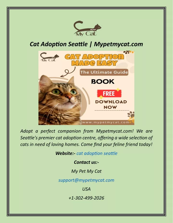cat adoption seattle mypetmycat com