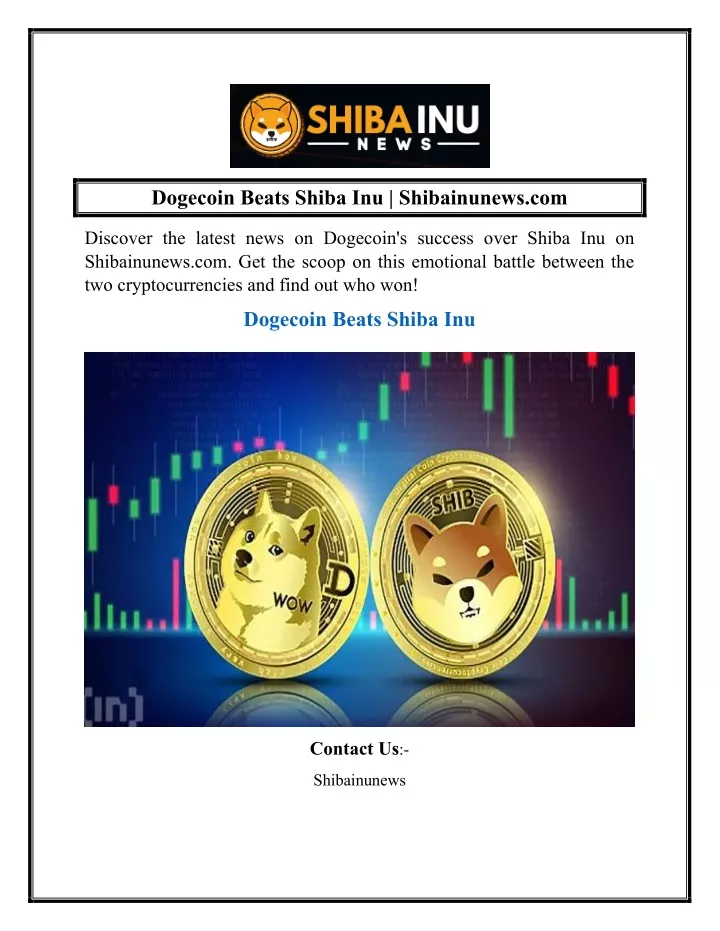 dogecoin beats shiba inu shibainunews com