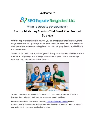 Twitter Marketing Service  SEO Expert Bangladesh LTD