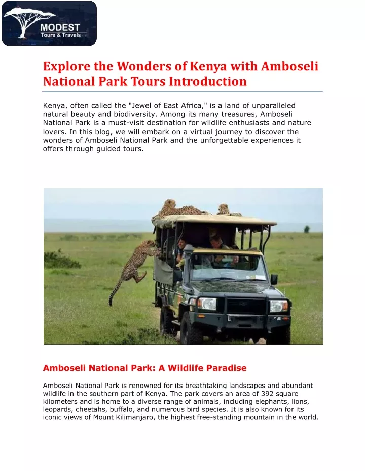 explore the wonders of kenya with amboseli