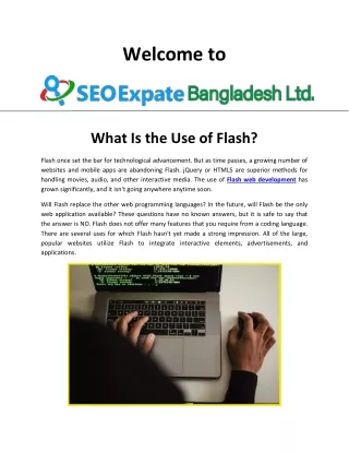 Flash Web Development