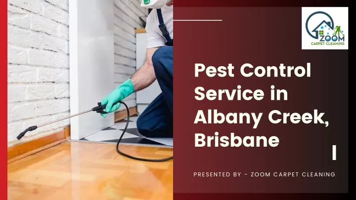 pest control service in albany creek brisbane