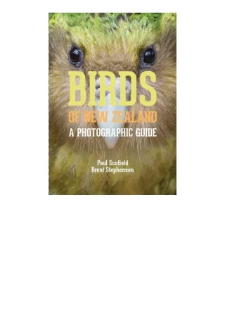 Download PDF Birds Of New Zealand A Photographic Guide full