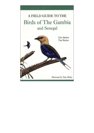 Kindle online PDF A Field Guide To Birds Of The Gambia And Senegal unlimited