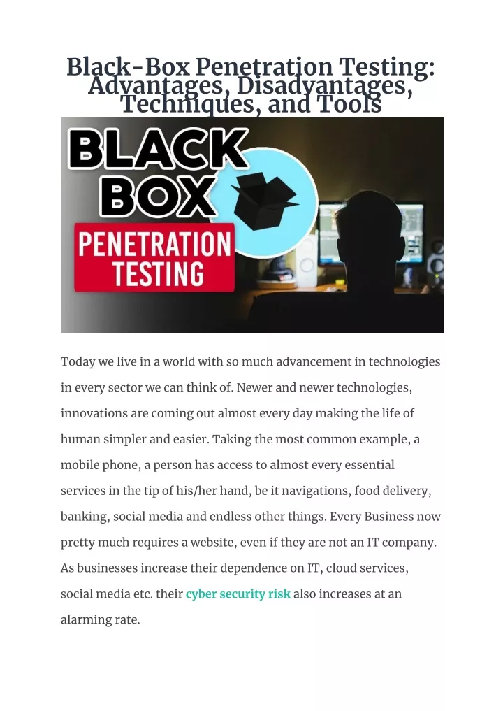black box penetration testing advantages