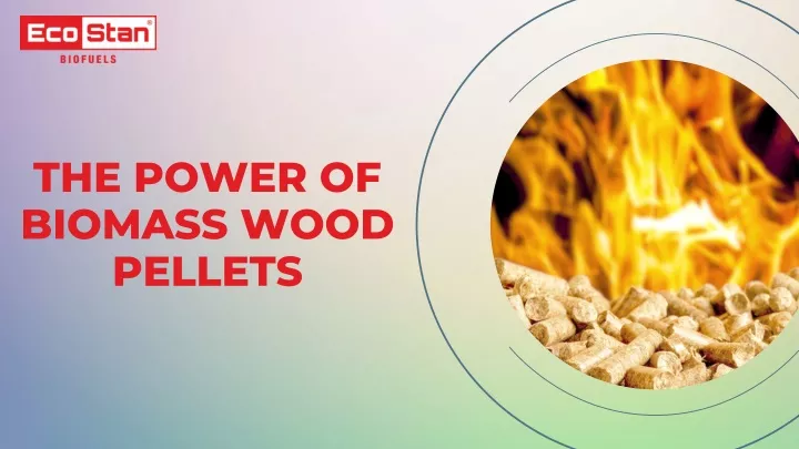 the power of biomass wood pellets