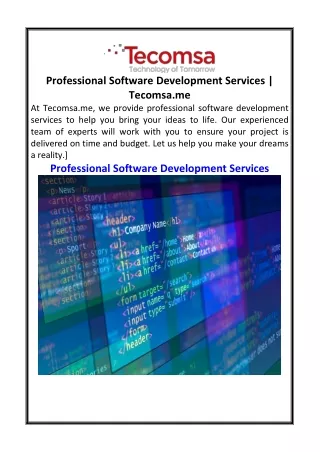 Professional Software Development Services  Tecomsa.me