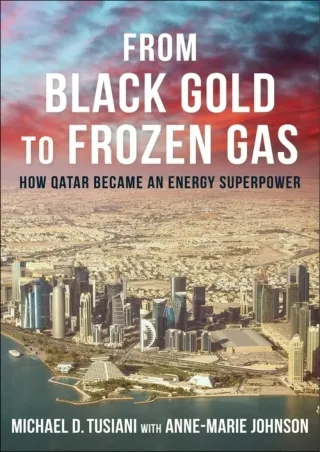get [PDF] Download From Black Gold to Frozen Gas: How Qatar Became an Energy Superpower (Center