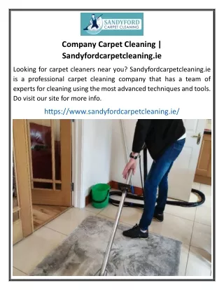 Company Carpet Cleaning Sandyfordcarpetcleaning.ie
