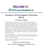 Ecommerce Web Development - slide 1