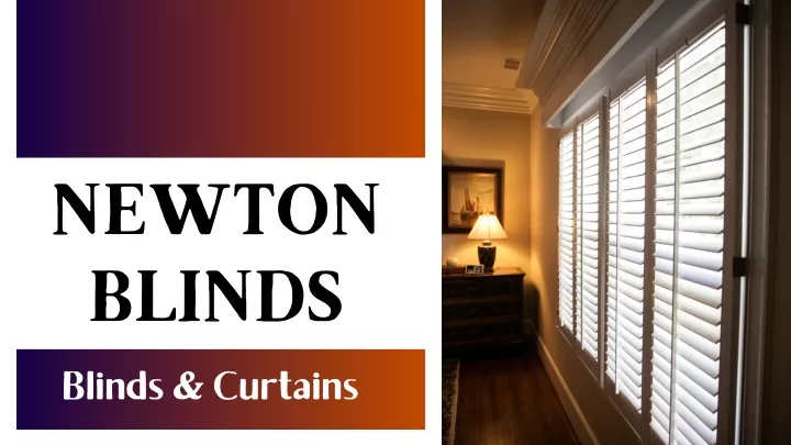 newton blinds