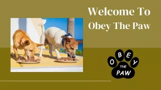 Obey The Paw: Your Source for Raw Dog