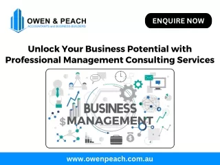 Unlock Your Business Potential with Professional Management Consulting Services