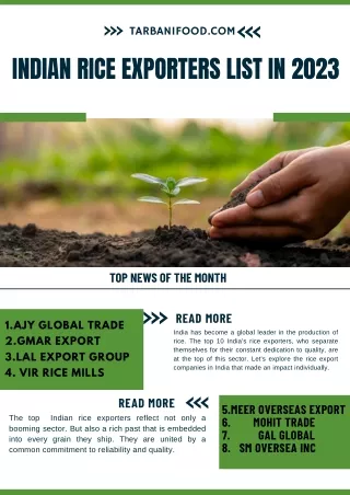 indian-rice-exporters
