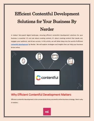 Efficient Contentful Development Solutions for Your Business By Nerder