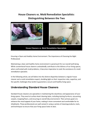 House Cleaners vs. Mold Remediation Specialists_ Distinguishing Between the Two