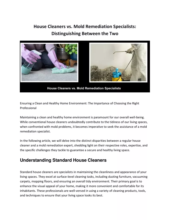 house cleaners vs mold remediation specialists