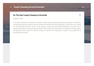 Knoxville Carpet Cleaner | On The Spot Carpet Cleaning