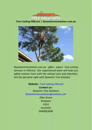 Tree Cutting Hillcrest  Dynamictreesolution.com.au