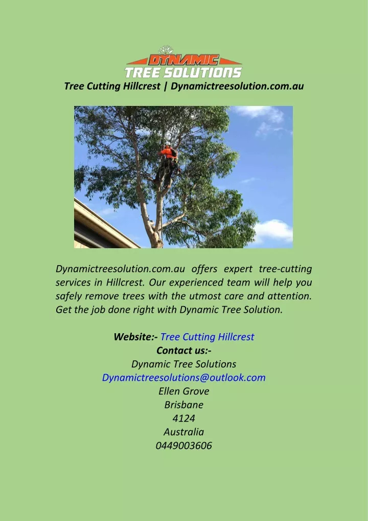tree cutting hillcrest dynamictreesolution com au