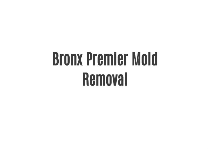bronx premier mold removal