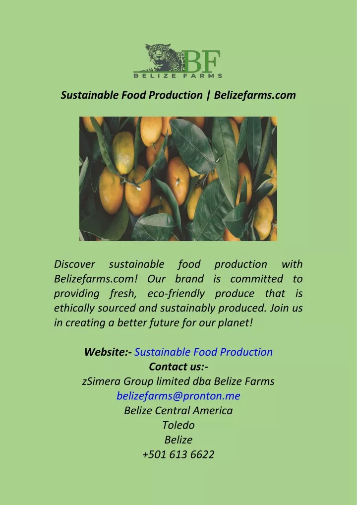 sustainable food production belizefarms com