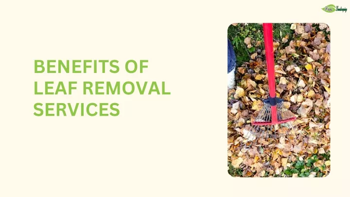 benefits of leaf removal services