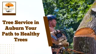 Tree Service in Auburn Your Path to Healthy Trees