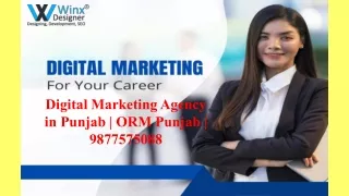 Online Marketing in Jalandhar