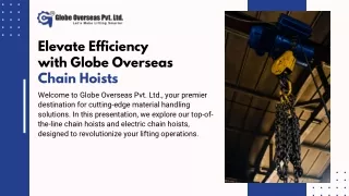 Elevate Efficiency with Globe Overseas Chain Hoists