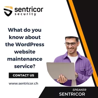 What do you know about the WordPress website maintenance service ?