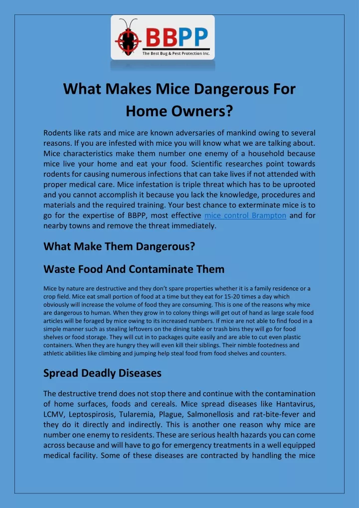 what makes mice dangerous for home owners