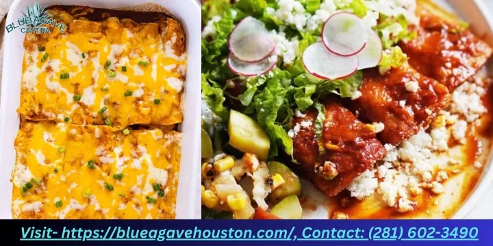 visit https blueagavehouston com contact