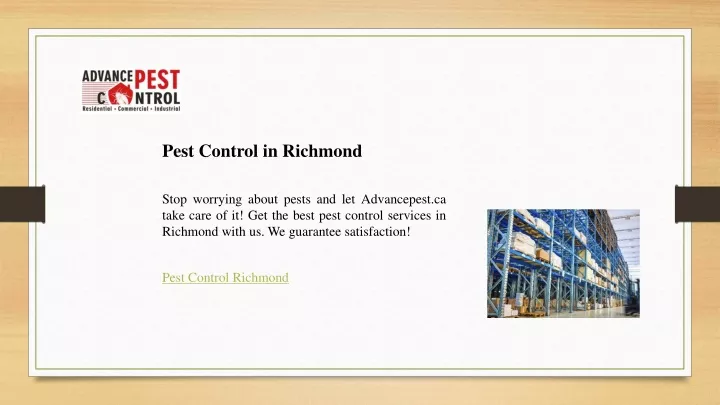 pest control in richmond