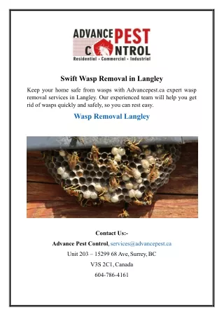 Swift Wasp - Removal in Langley